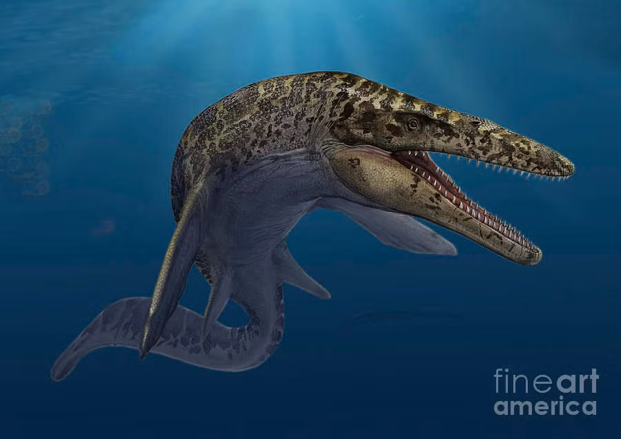 Hình ảnh phục dựng loài thương long Prognathodon anceps. Ảnh: Toptrilos.