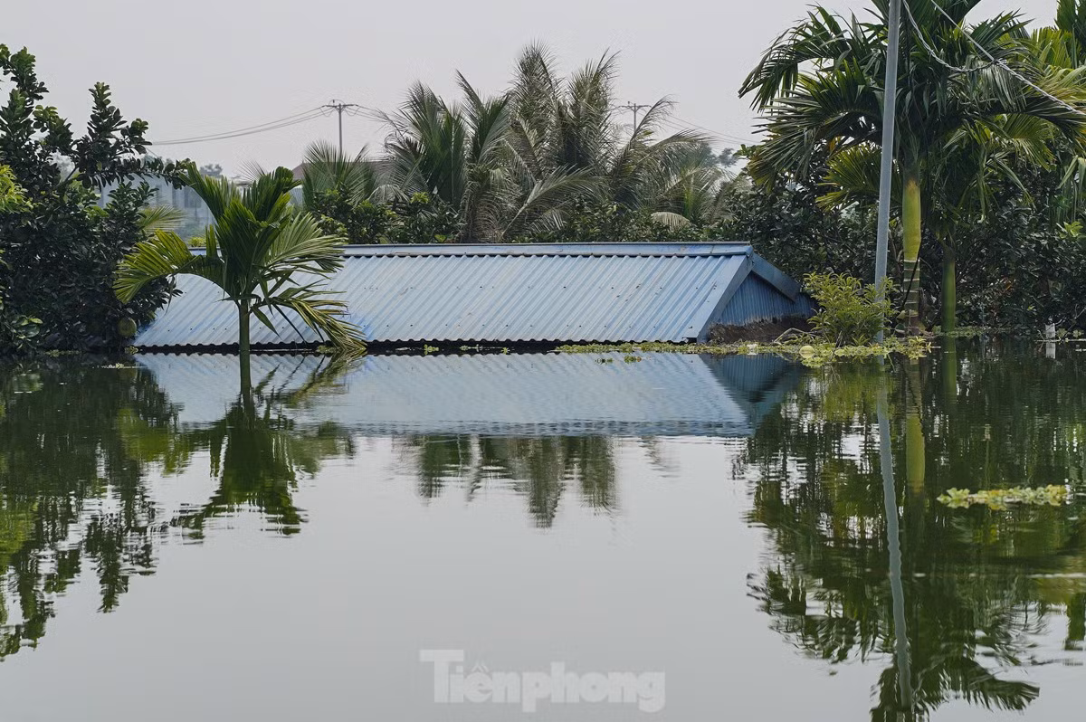 Hàng chục ngôi nhà chìm sâu, chỉ còn phần mái.