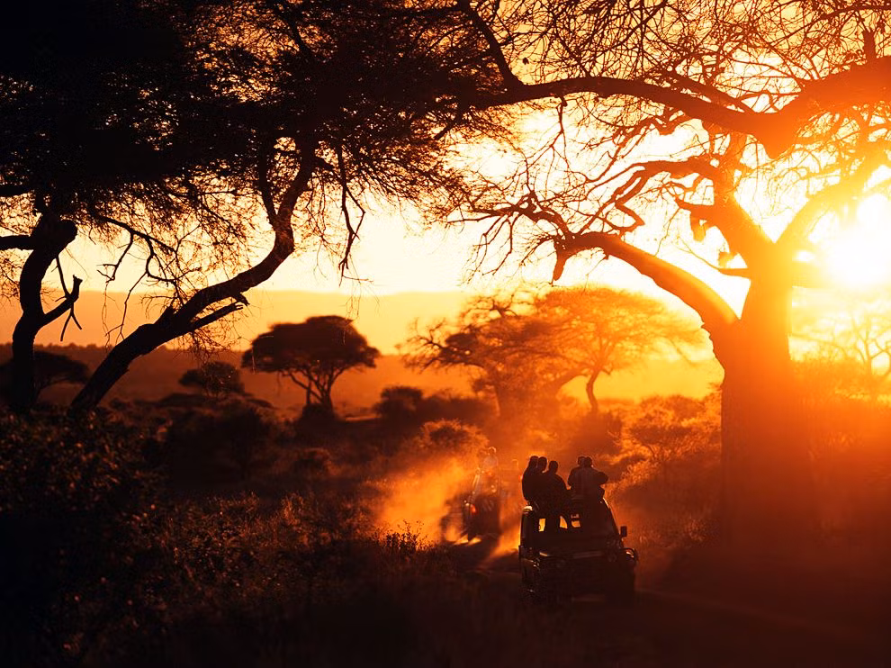 Hoàng hôn thơ mộng ở Vườn quốc gia Tarangire, Tanzania.