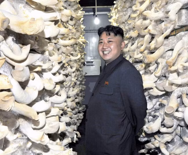 Khác với ông nội, cố Chủ tịch Kim Nhật Thành và cha, cố lãnh đạo Kim Jong-il, ông Kim Jong-un có vẻ thích chụp ảnh hơn. Do đó, hình ảnh của ông xuất hiện thường xuyên, tràn ngập trên các phương tiện truyền thông trong và ngoài nước. Trong ảnh, nhà lãnh đạo Kim Jong-un tươi cười chụp ảnh khi đi thị sát một nhà máy sản xuất nấm liên kết với đơn vị quân đội.