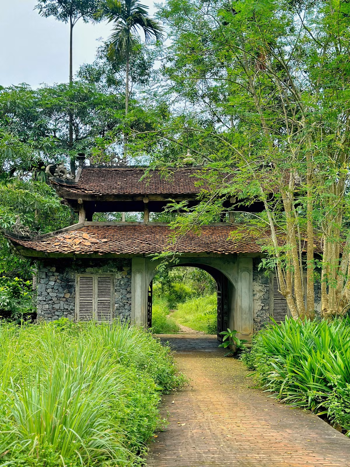 Hai ngày lên rừng, xuống biển và điều thú vị thu hút giới trẻ - Hình 11 Hai ngay len rung, xuong bien va dieu thu vi thu hut gioi tre-Hinh-11
