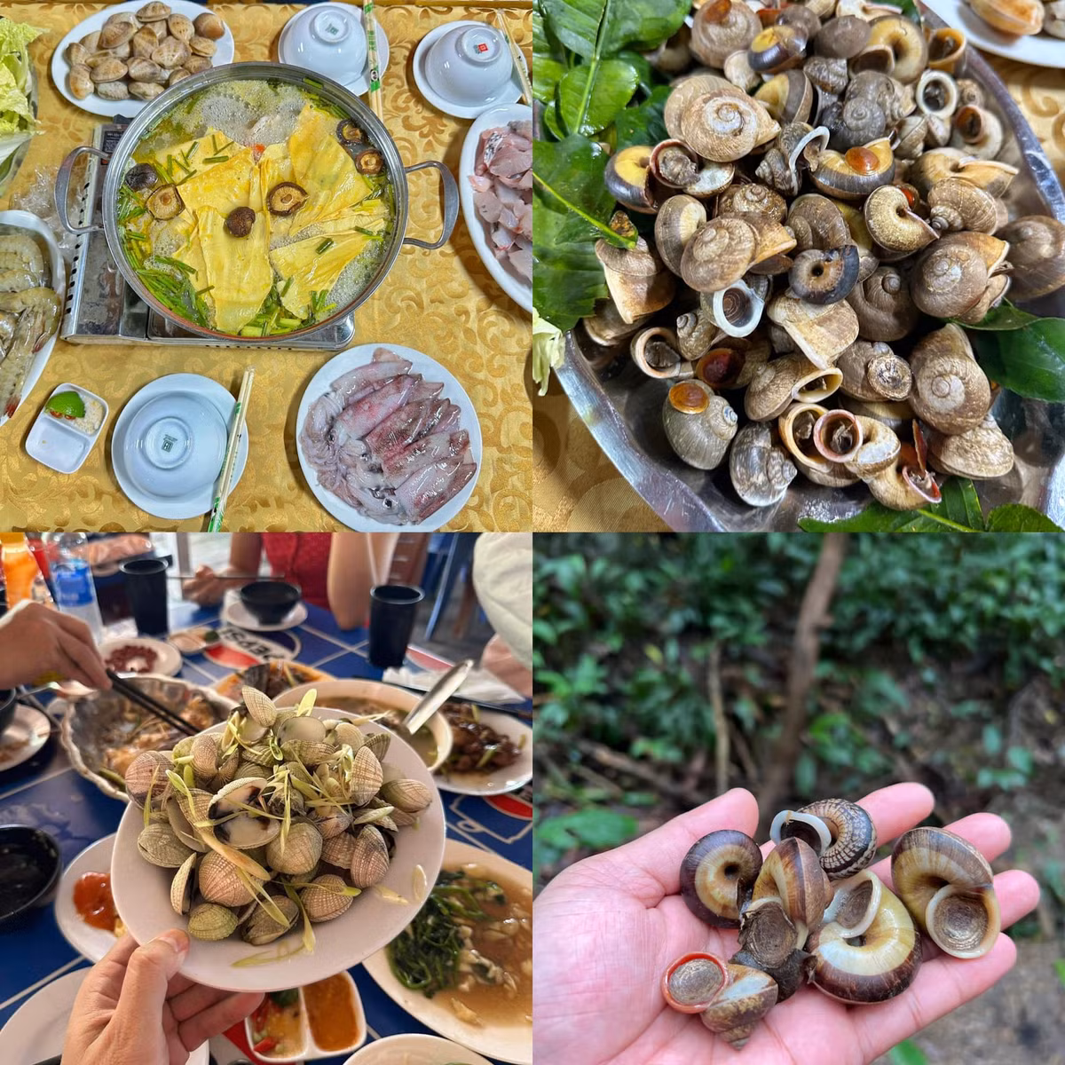 Hai ngày lên rừng, xuống biển và điều thú vị thu hút giới trẻ - Hình 12 Hai ngay len rung, xuong bien va dieu thu vi thu hut gioi tre-Hinh-12