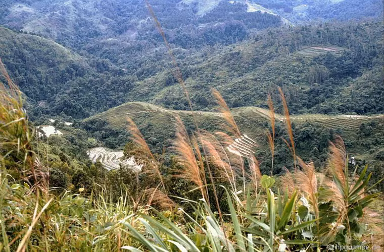Khung cảnh nhìn từ một đoạn đường đèo.