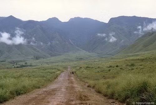 Đầu những năm 1990, phải mất 10 tiếng đồng hồ để đi hết con đường dài 200km từ Lai Châu đến Sapa - Lào Cai.