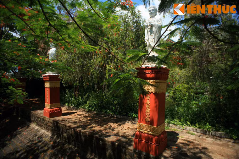 Hàng tượng Phạt bài trí trong sân chùa.