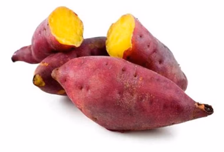 Thật vậy, làm được điều này là nhờ lượng carbohydrate, chất xơ, riboflavin, vitamin A, axit caffeic, axit di và tri – caffeoylquinic dồi dào, có đặc tính chống ung thư hiệu quả.
