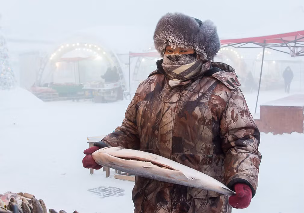 Loài cá mà họ bắt là cá chép Yakut (Tên khoa học là Carassius carassius jacuticus). Người dân ở Yakutia tin rằng đây là loài cá rất tốt cho sức khỏe; họ cũng tin rằng những con cá nhỏ sẽ tốt cho sức khỏe hơn cả những con cá lớn.