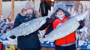 Trong đó, cách bắt cá truyền thống và nổi tiếng nhất ở Yakutia được gọi là Munkha - một cách bắt cá sử dụng lưới kéo cá (seine net). Toàn bộ người dân, kể cả trẻ em, người lớn tuổi hay phụ nữ cũng sẽ tham gia trong quá trình bắt cá quy mô lớn này.
