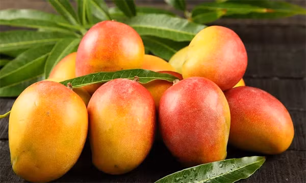 Chuyên gia nói gì về chế độ ăn toàn trái cây trong 3 năm? - Hình 2 Chuyen gia noi gi ve che do an toan trai cay trong 3 nam?-Hinh-2