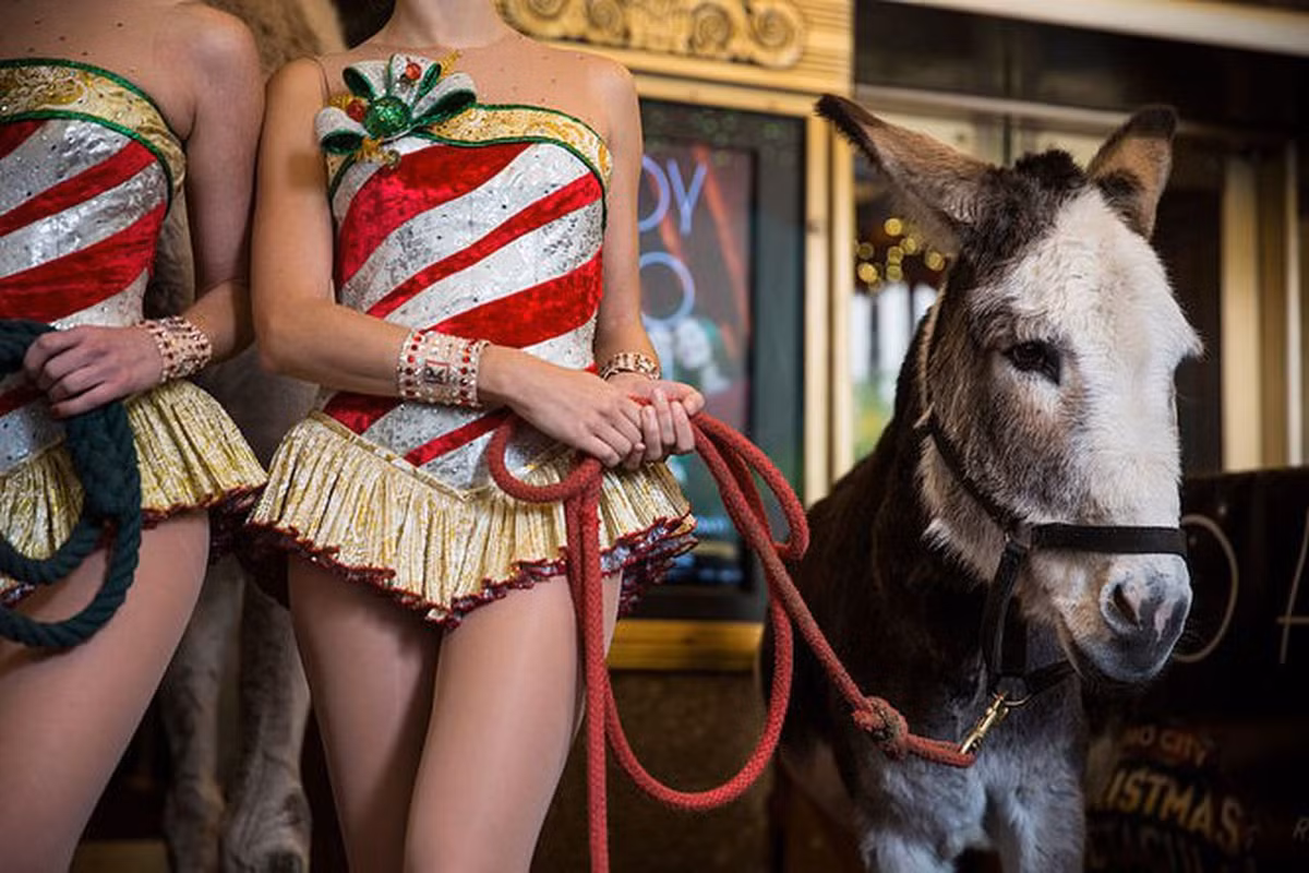 Dominick the Donkey của Lou Monte: Bài hát nói về một chú lừa Giáng sinh Ý giúp ông già Noel mang quà. Dominick rất khôn ngoan khi không có nhiều điều để nói ngoài ... "la la la". Một điều quái dị là mặc dù lời bài hát có đến hơn một nữa là lalala lại cần đến 3 nhạc sĩ sáng tác. Nó bị đánh giá là nhảm nhí vì chỉ bắt chước nhịp điệu của That’s Amore còn lời thì tệ hại.