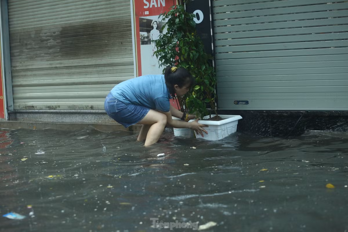 Người dân giữ cho cây khỏi đổ giữa "biển nước"