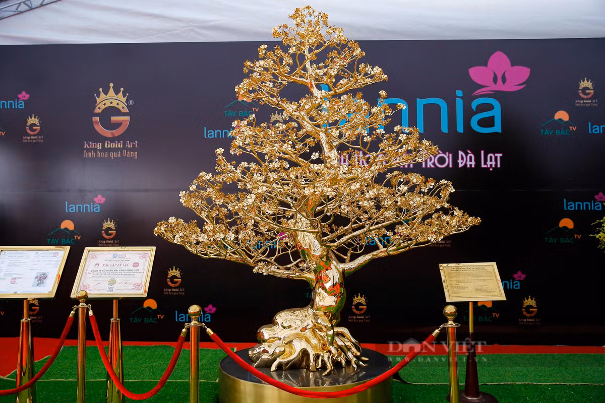 Những ngày gần Tết Nguyên đán 2023 khi đi qua Quảng trường Mỹ Đình (trước sân vận động quốc gia Mỹ Đình) ai nấy cũng đều trầm trồ khi chiêm ngưỡng cây mai mạ vàng 24k lớn nhất Việt Nam.