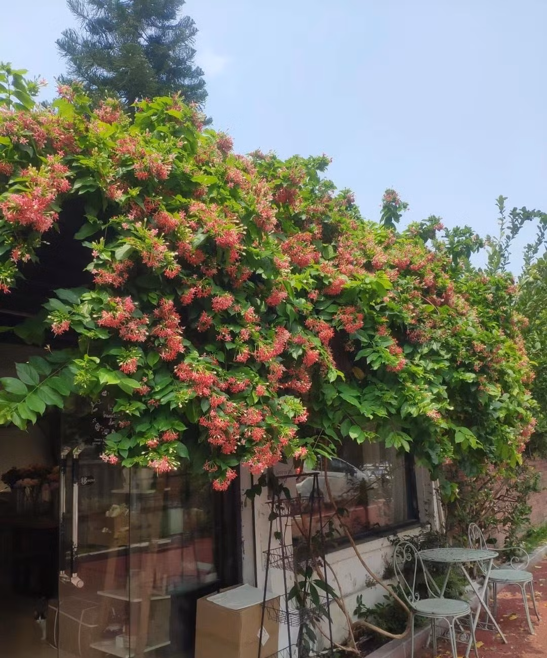  Cũng giống như con người chúng ta, dù cuộc sống có khó khăn đến đâu, chúng ta cũng nên giữ thái độ tích cực, trân trọng cơ thể và theo đuổi sức khỏe. Ảnh minh họa Toutiao
