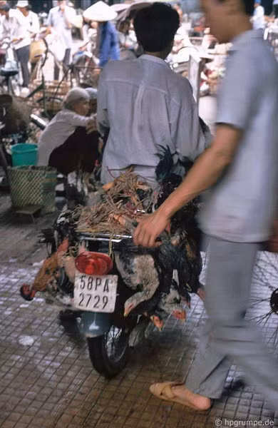 Một tiểu thương chở gà ở chợ.