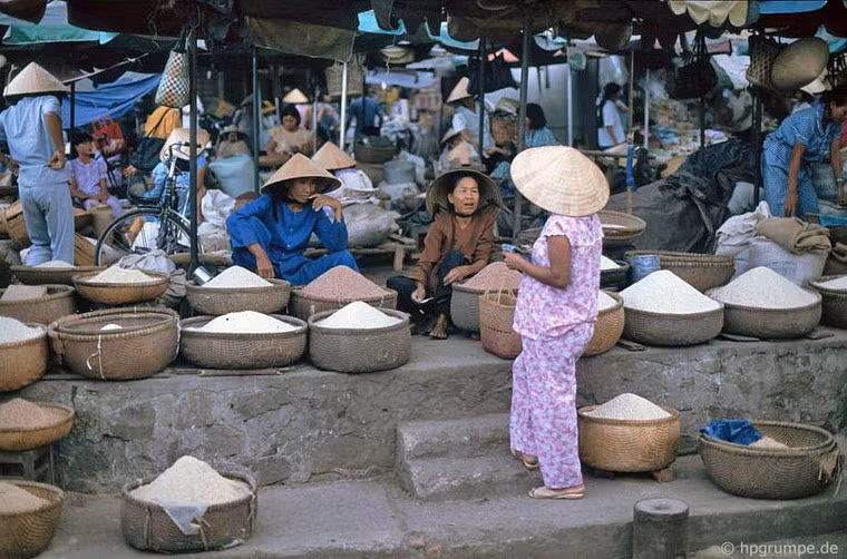 Các hàng bán gạo.