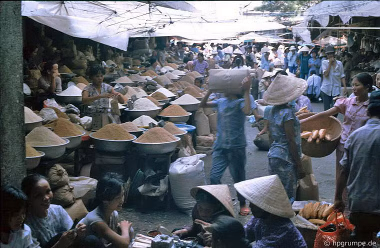 Và ngũ cốc.