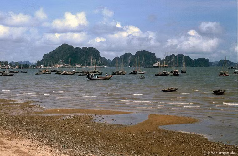 Những con thuyền đánh cá neo đậu ngoài khơi Hạ Long.