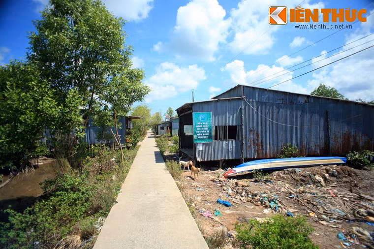 Hình ảnh quen thuộc ở ấp Cồn Mũi (xã Đất Mũi, huyện Ngọc Hiển, tỉnh Cà Mau) nơi cực Nam đất nước là những ngôi nhà tạm mộc mạc lợp bằng lá dừa nước, hoặc sang hơn là những tấm tôn. Hình ảnh quen thuộc ở ấp Cồn Mũi (xã Đất Mũi, huyện Ngọc Hiển, tỉnh Cà Mau) nơi cực Nam đất nước là những ngôi nhà tạm mộc mạc lợp bằng lá dừa nước, hoặc sang hơn là những tấm tôn.