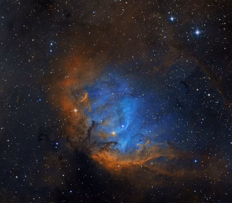 Vẻ đẹp ngỡ ngàng của tinh vân Hoa uất kim hương (The Tulip in the Swan Nebula) trong chòm sao Thiên Nga (Cygnus). Trải dài trên 70 năm ánh sáng, tinh vân xinh đẹp này nằm cách Trái Đất khoảng 8.000 năm ánh sáng./.