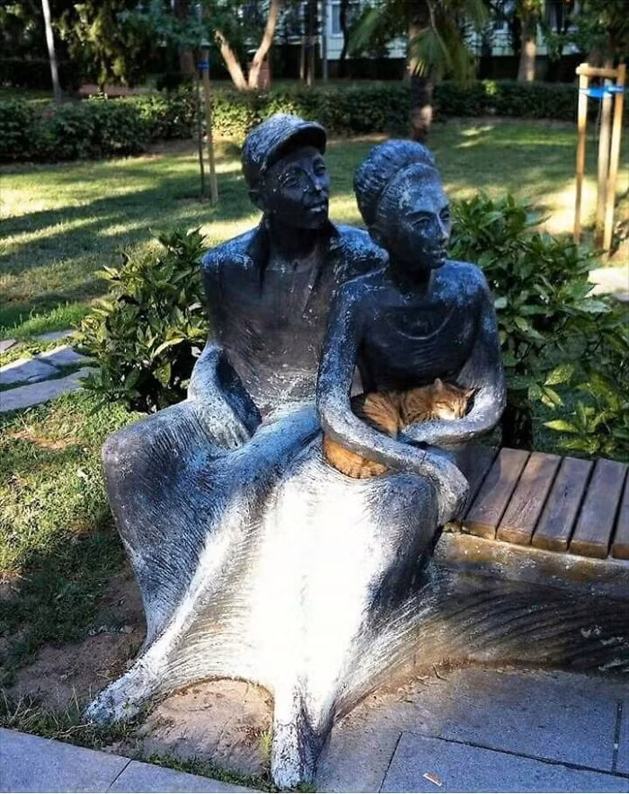Dường như đây là nơi thoải mái nhất trong công viên cho chú mèo cưng này nghỉ ngơi.
