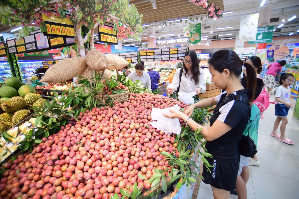 Tại siêu thị, mận hậu có giá khuyến mãi chỉ 29.900 đồng/kg. Đại diện hệ thống Co.op Mart cho biết, đây là sản phẩm đầu tiên siêu thị này giao thương với các tỉnh Tây Bắc nhằm đưa đặc sản các địa phương này đi xa. Dự kiến, siêu thị này sẽ tiêu thụ khoảng 100 tấn mận hậu của huyện Mộc Châu trong mùa vụ năm nay.
