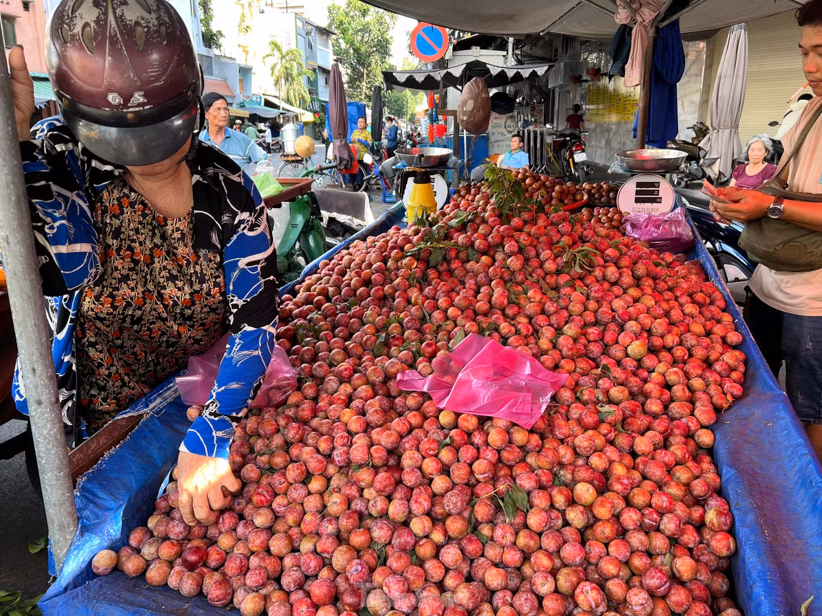 Trưa 26/5, tại chợ Hòa Bình (quận 5), xe mận bán dạo thu hút rất đông chị em đến chọn mua, có người mua 1 kg, nhưng cũng có khách gom tới 2 - 3 kg. Giá mận hậu tại đây là 35.000 đồng/kg. Người bán cam kết bao giòn, ngọt và "không ngon không lấy tiền". "Mận hậu mỗi năm chỉ có một mùa, kéo dài khoảng 2 tháng nên ai cũng tranh thủ mua thưởng thức. Hiện mận hậu đang vào mùa nên có giá rẻ. Trung bình mỗi ngày tôi bán hết xe mận này hơn 50 kg" - người bán cho biết.