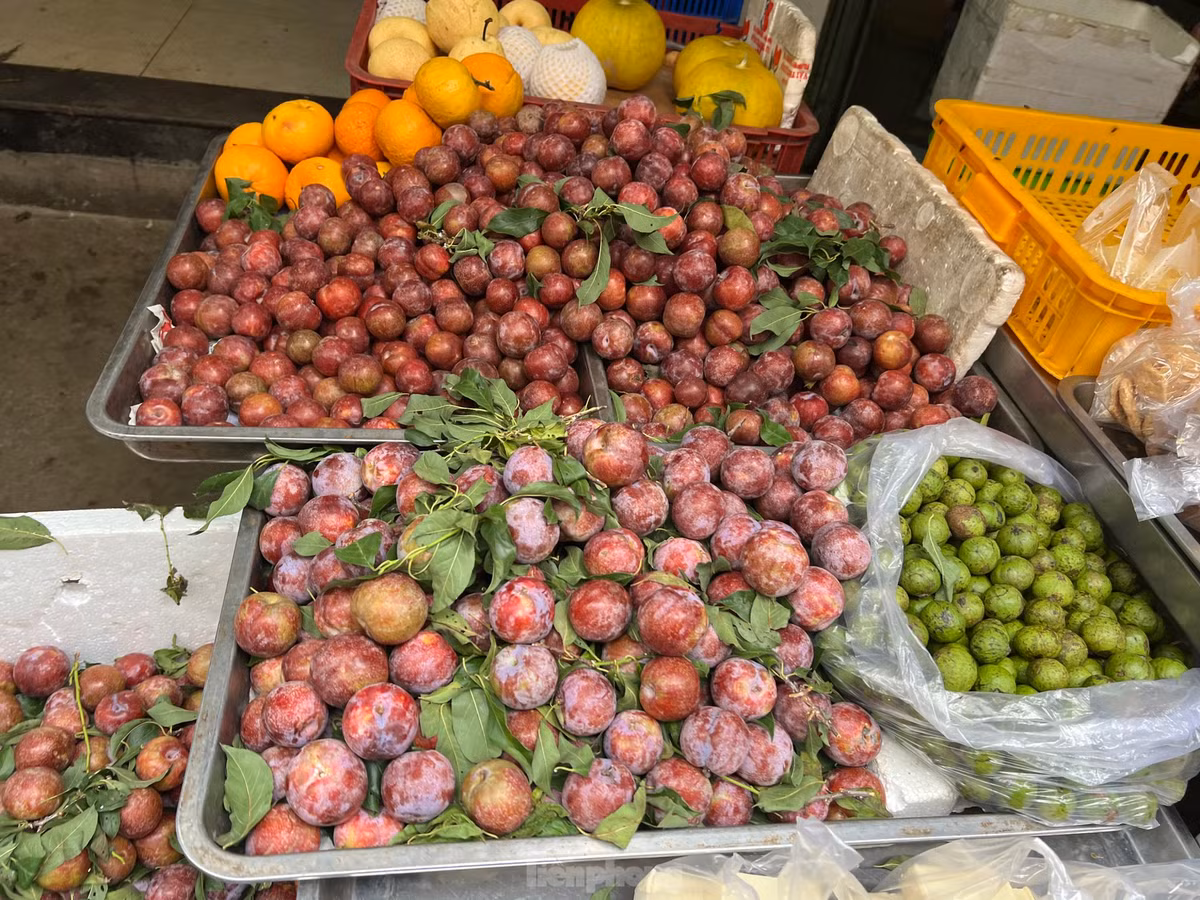 Mận hậu quả đại loại 1 có giá đến 50.000 đồng/kg, nhưng vẫn chỉ bằng 50% giá bán của hai năm trước.