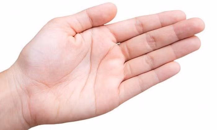 2. Ngón giữa dài hơn các ngón khác trong bàn tay: Người có điểm này thường có nhu cầu theo đuổi tài lộc và quyền lực vô cùng lớn. Họ nung nấu một cuộc sống sung túc trong tương lai. Người này sẽ định ra cho mình một mục tiêu dài hạn, và sẽ nỗ lực từng giây từng phút để đạt được.