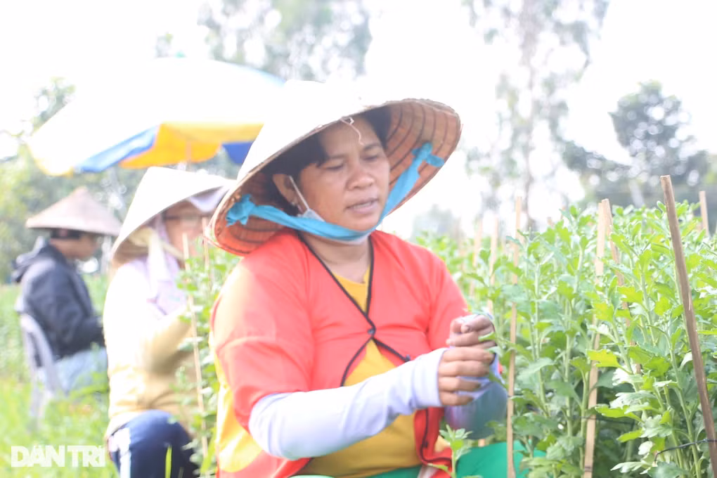 Nhung ngay cuoi nam bat thuong o lang hoa lon nhat TPHCM-Hinh-5