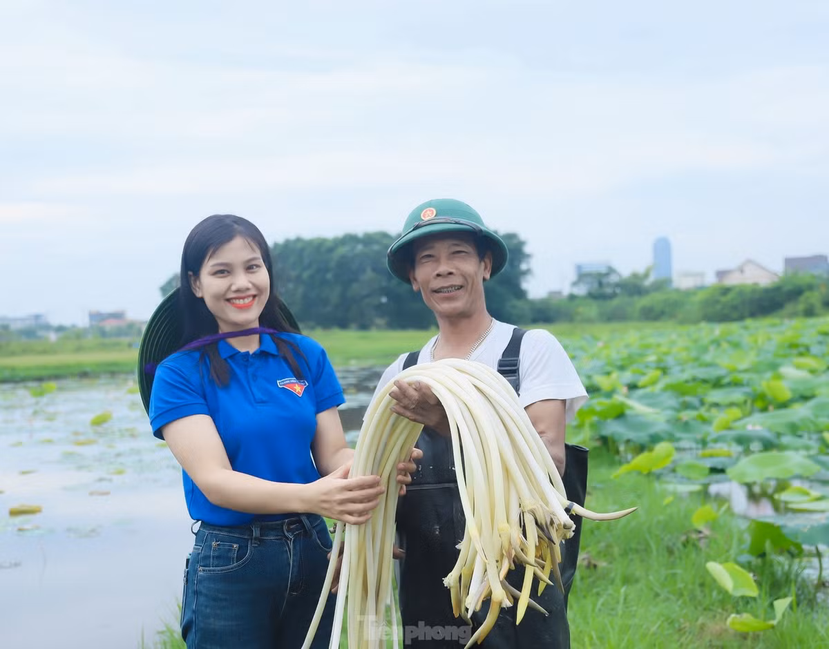 Loi bun lay ngo sen, nong dan kiem bon tien-Hinh-8
