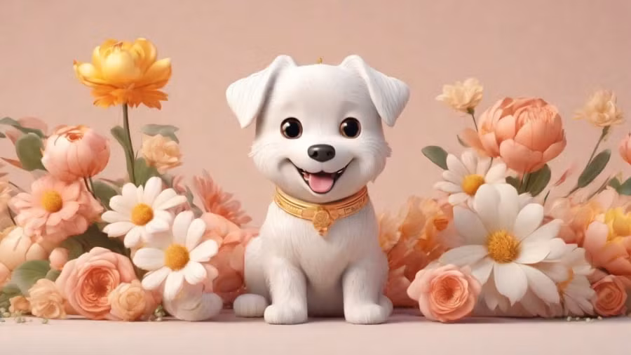 Tuổi Tuất: Người tuổi Tuất có tính cách bình tĩnh, cương quyết. Con giáp này biết cách quản lý thời gian, phân chia công việc một cách hợp lý. Bản mệnh sống khoa học, biết cân đối giữa công việc và nghỉ ngơi. Tuổi Tuất có thói quen sống lành mạnh, ít khi sa đà vào những cuộc vui làm hao tổn về cả mặt kinh thế lẫn sức khỏe.