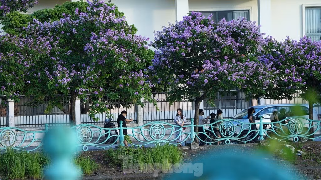 Sau một ngày nắng nóng, giữa Hà Nội náo nhiệt với tiết trời oi bức, vẫn còn đâu đó những ngóc ngách bình yên và nên thơ.