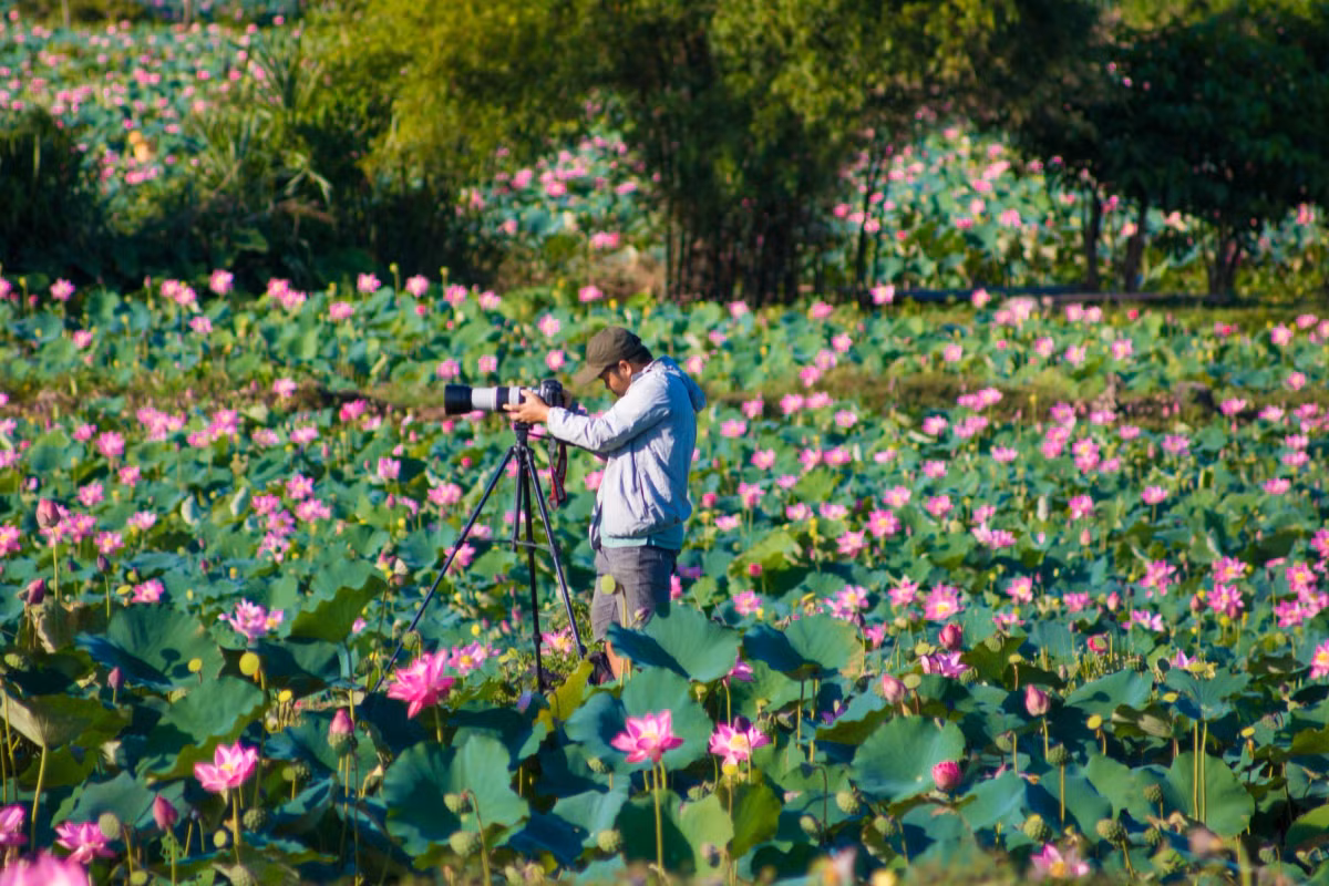 Để có được một bộ ảnh chỉnh chu, khách du lịch không ngại đầu tư nhiều thiết bị kèm theo để ghi lại khoảnh khắc.
