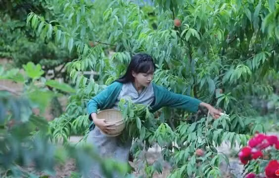 Dong thai moi nhat cua Ly Tu That sau 3 nam o an