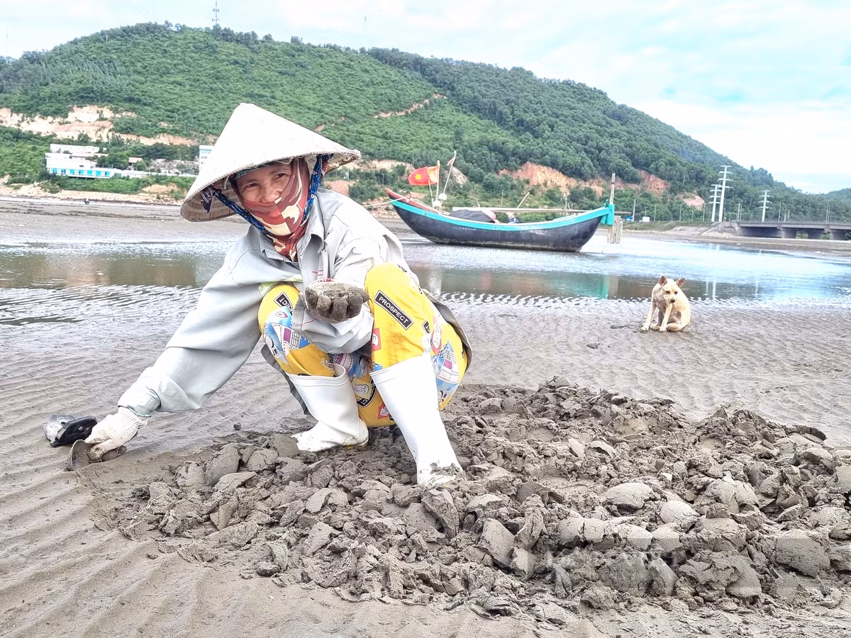 Cao con ngao nhot, nguoi dan vung bien Thanh Hoa co ngay tien tuoi-Hinh-2