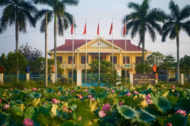 Tại làng quê La Chữ (phường Hương Chữ, thị xã Hương Trà, Thừa Thiên Huế) mùa này, đầm sen ở ngay trước UBND phường bung nở rực rỡ.