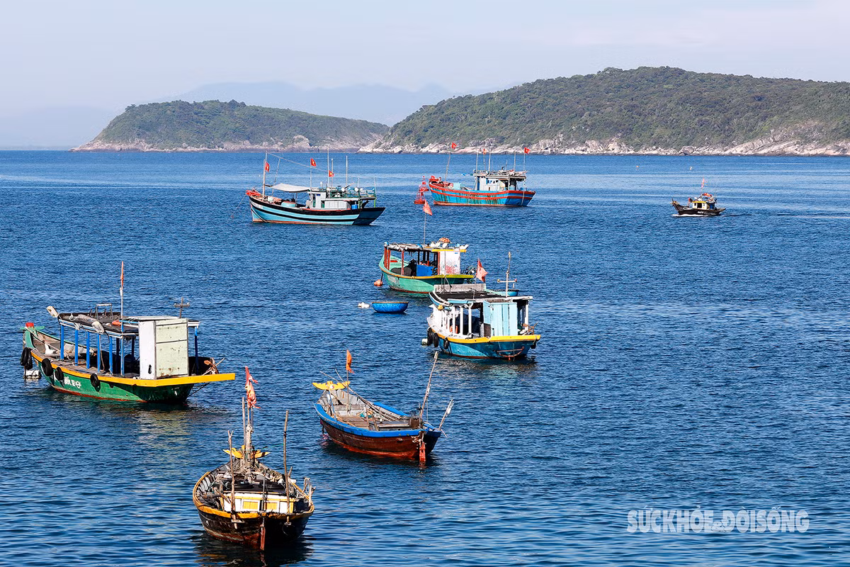 Cù Lao Chàm sở hữu vẻ đẹp hoang sơ, yên bình của thiên nhiên, là nơi rất nhiều du khách lựa chọn làm điểm đến sau khi khám phá phố cổ Hội An nhộn nhịp.