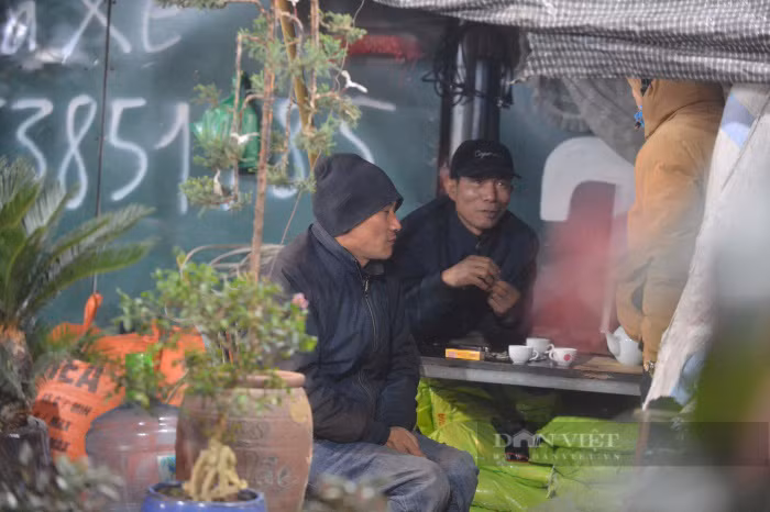 Lạnh 8 độ C thấu da thịt, tiểu thương trắng đêm canh đào, quất - Hình 3 Lanh 8 do C thau da thit, tieu thuong trang dem canh dao, quat-Hinh-3