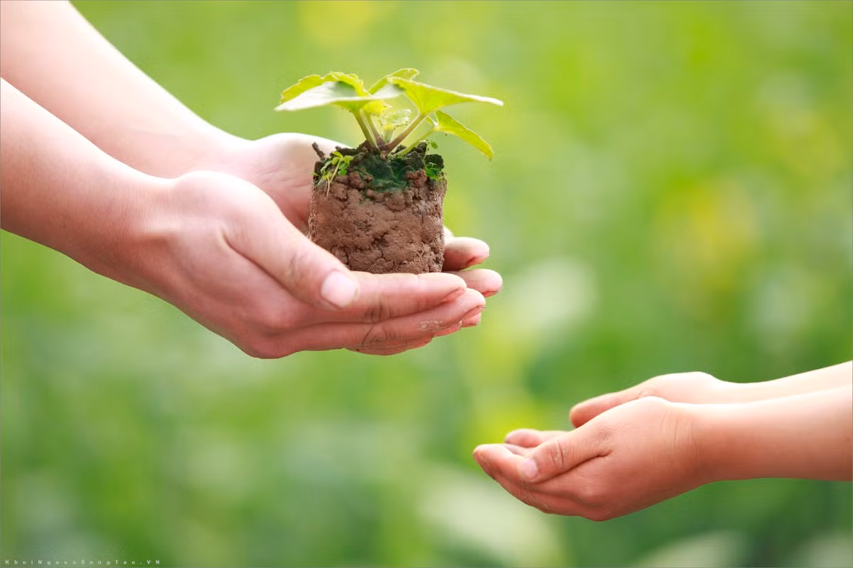 Đừng giúp người khác đưa ra quyết định quan trọng trong cuộc sống, ngay cả khi người đó là người thân nhất của bạn. Bởi vì, đó là cuộc sống của họ. Đừng để hối tiếc lớn nhất của người khác liên quan đến bạn. 