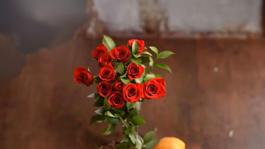 Hoa hồng đẹp, màu rực rỡ nên thích hợp thắp hương gia tiên, thần linh. Nhưng chúng nhiều gai, thì điều đó lại gây ra sát khí trong phong thủy nên không tốt.