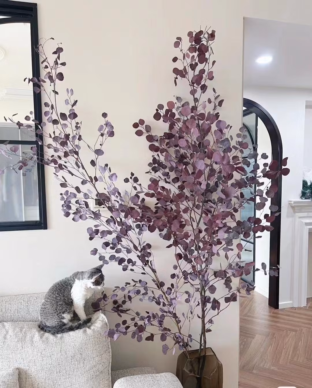  Trong phong thủy, cây cảnh "đô la bạc" có ý nghĩa mang lại may mắn và tiền tài đến cho gia chủ. Ngoài cái tên thì những lá cây giống đồng tiền xu đều gợi đến tiền tài, là cây cảnh phong thủy được yêu thích.