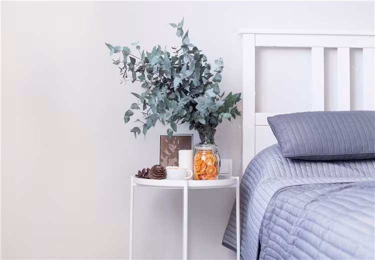  Ngôn ngữ hoa bạch đàn là một món quà. Cây cảnh này có mùi thơm đặc biệt, có tác dụng thanh lọc không khí, điều hòa hệ hô hấp và hỗ trợ giấc ngủ. Lá bạch đàn có tác dụng làm mát không khí và hỗ trợ giấc ngủ. Bầu không khí trong lành của bạch đàn có thể được sử dụng để duy trì hệ thống hô hấp và miễn dịch. 