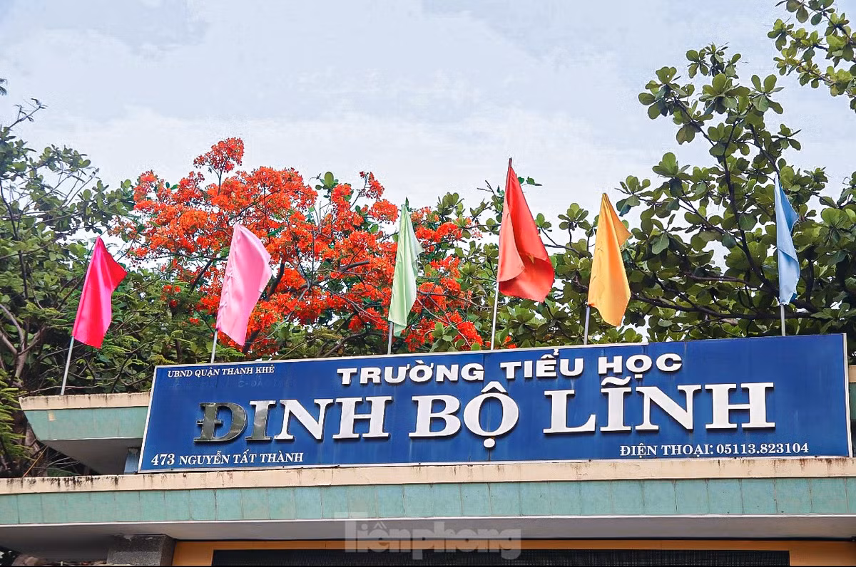 Phượng thường nở vào mùa hè, cũng là mùa chia tay, mùa kỷ niệm của tuổi học trò gắn liền với ký ức đẹp của biết bao thế hệ học sinh, sinh viên.