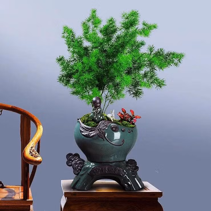 Nguoi xua noi: 