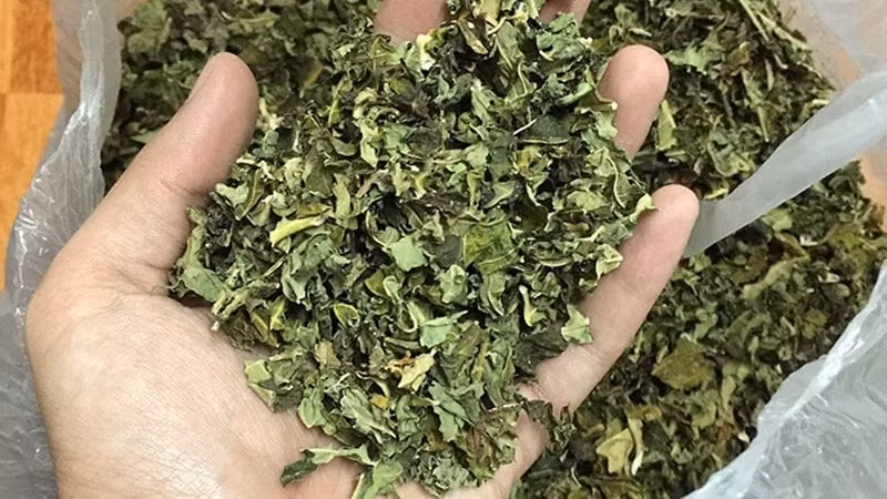 Loại lá phơi khô cực tốt cho sức khỏe nhiều người không biết - Hình 2 Loai la phoi kho cuc tot cho suc khoe nhieu nguoi khong biet-Hinh-2