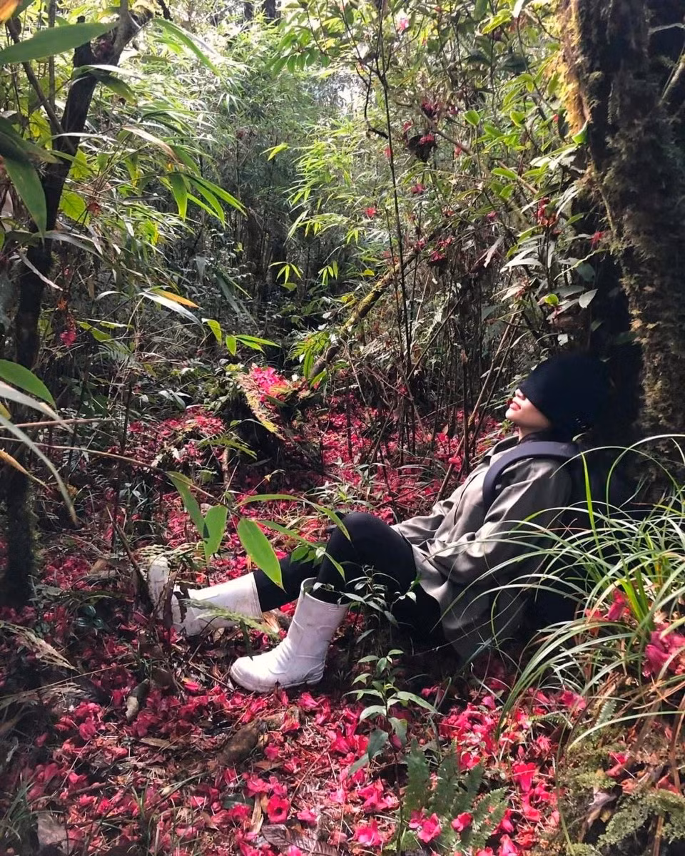 Gioi tre den Lai Chau trekking xuyen rung, an pho nhang thai tay-Hinh-5