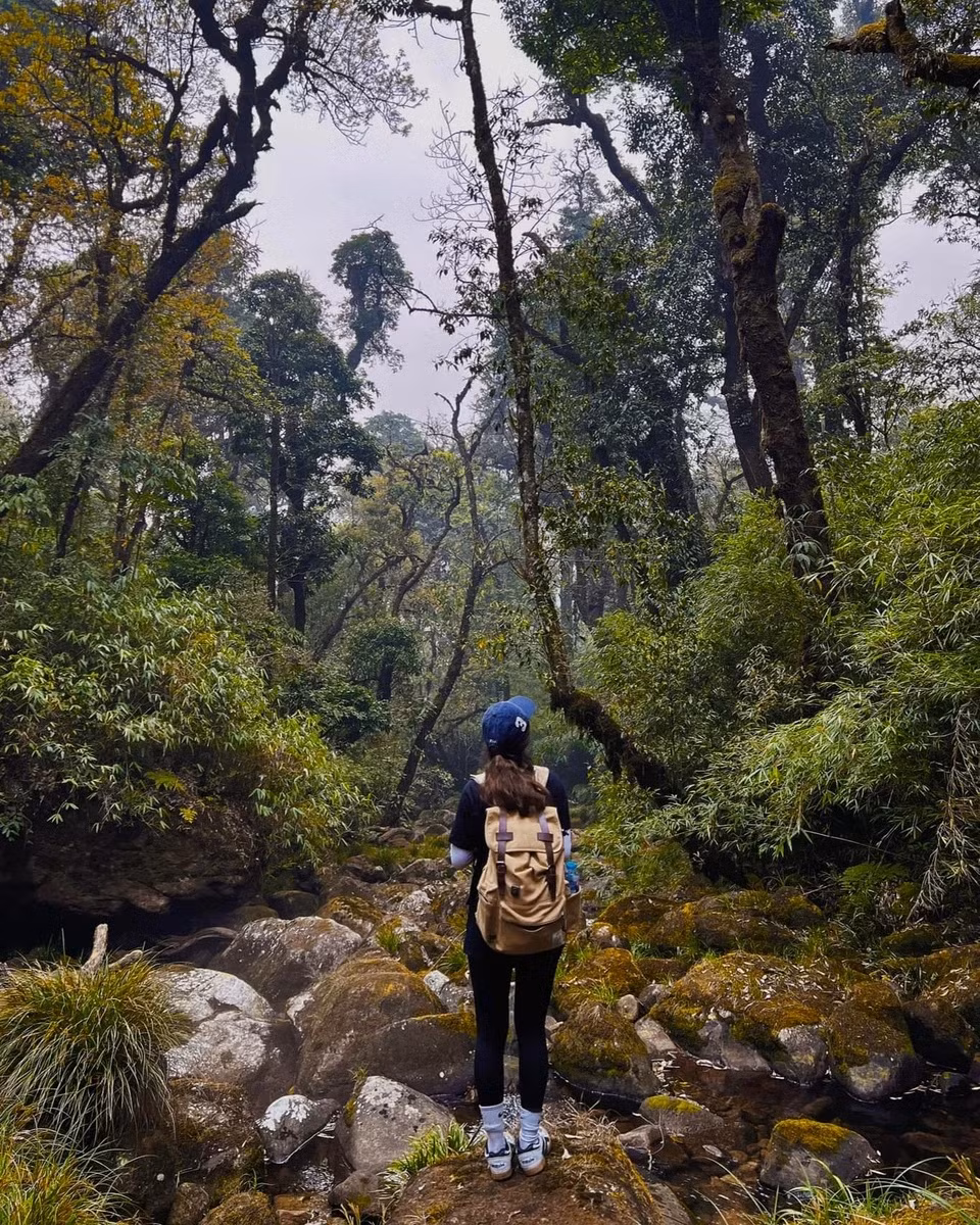 Gioi tre den Lai Chau trekking xuyen rung, an pho nhang thai tay-Hinh-4