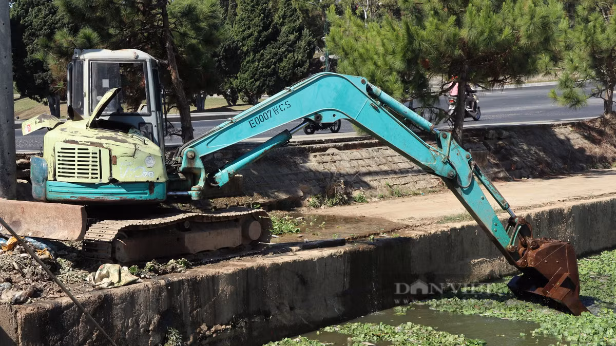 Các công nhân sử dụng máy múc để múc lượng lớn cá chết và bèo tại hồ lắng số 2 để xử lý tình trạng hôi thối tại khu vực này. Tuy nhiên, lượng cá chết khá nhiều, việc dùng máy không thể thực hiện được 100%, vì vậy tình trạng hôi thối vẫn rất nặng, chưa thể khắc phục.