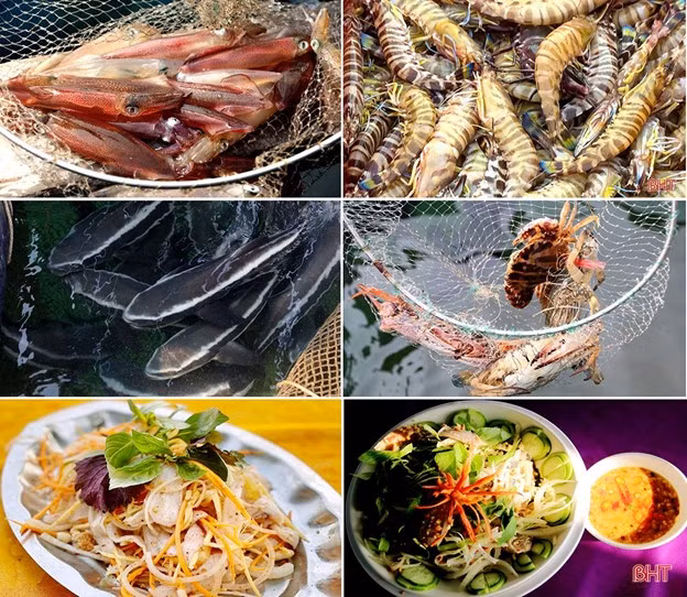 Nhung dia danh tuyet dep nen ghe tham khi du lich Ha Tinh-Hinh-13