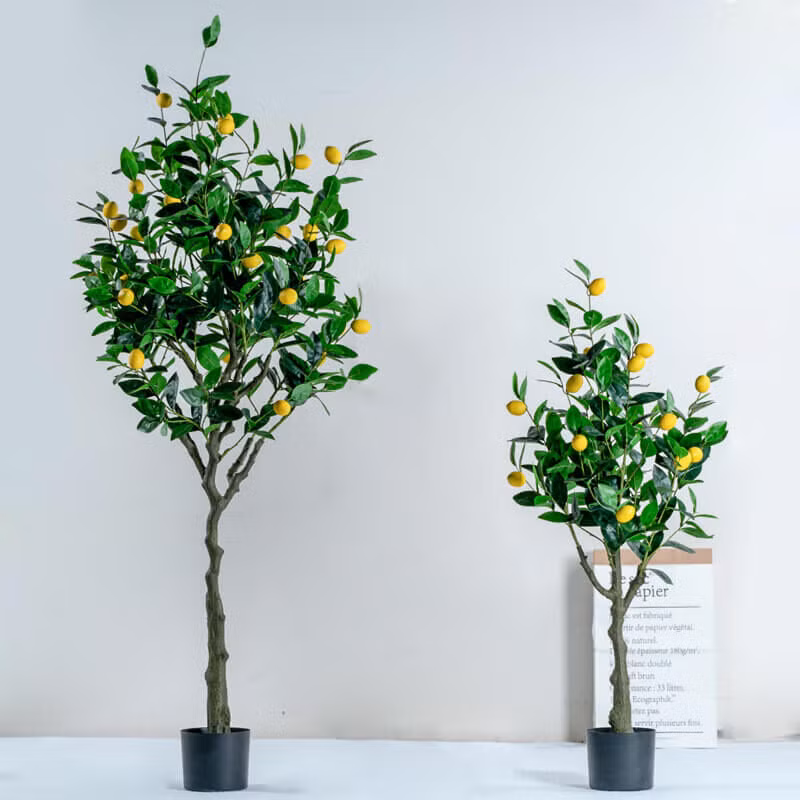 Ngoài ra, nhiều loại hoa, cây nhựa kém chất lượng chứa nhiều thành phần hóa học gây ảnh hưởng đến sức khỏe con người nên tốt nhất không nên đặt chúng trong môi trường con người sinh sống hàng ngày.